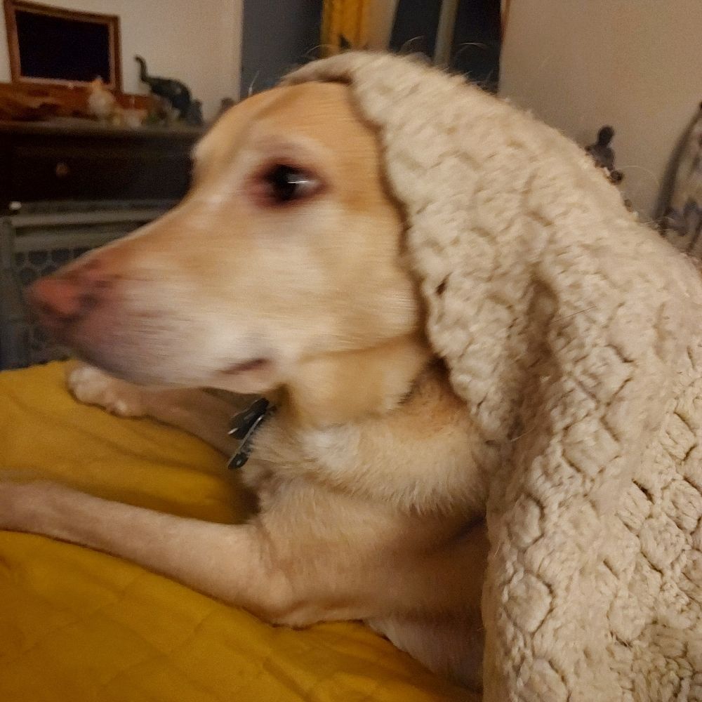 M Pal