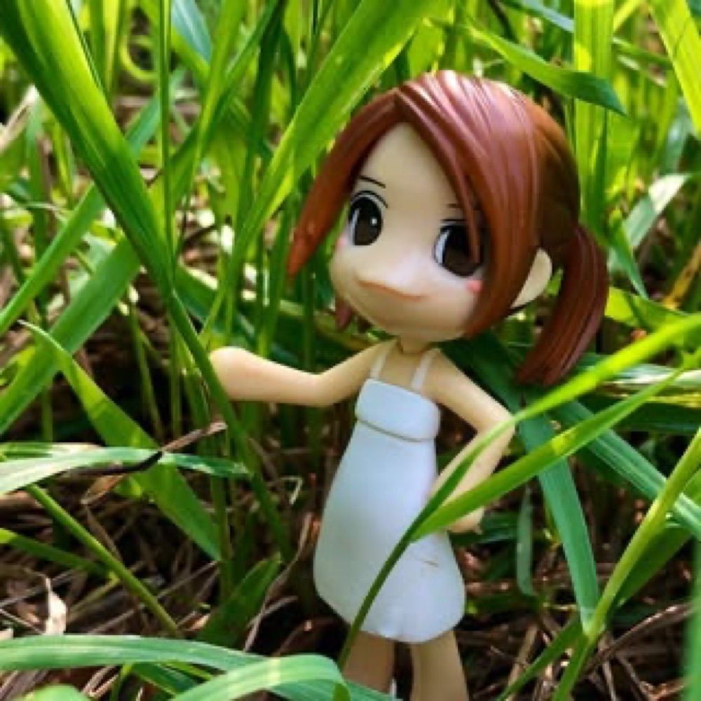 Anri