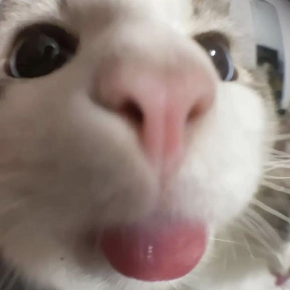 Sah 