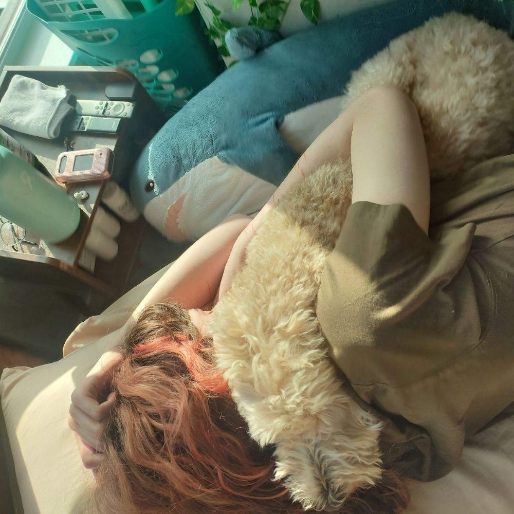femboygirlboyboygirl