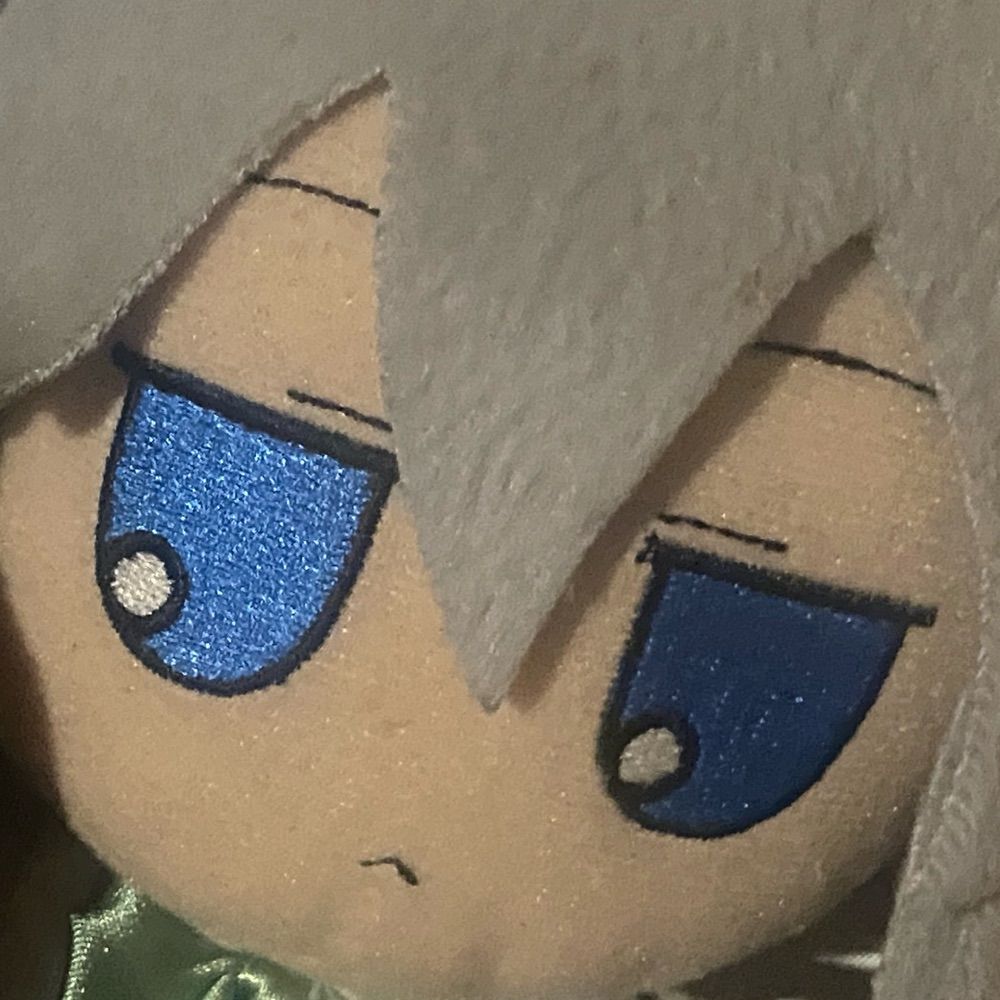 Daily (and sometimes more frequently) Touhou Plush Posts