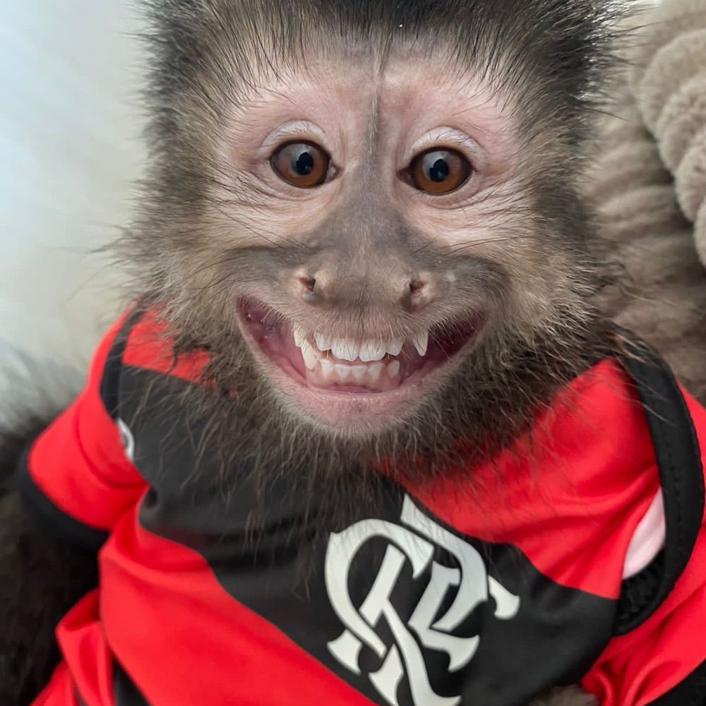 Rafa’s