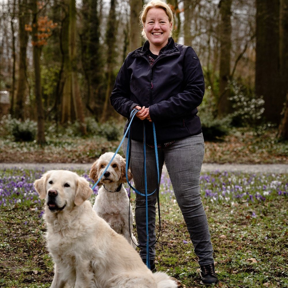 Geweldige Honden Welkom