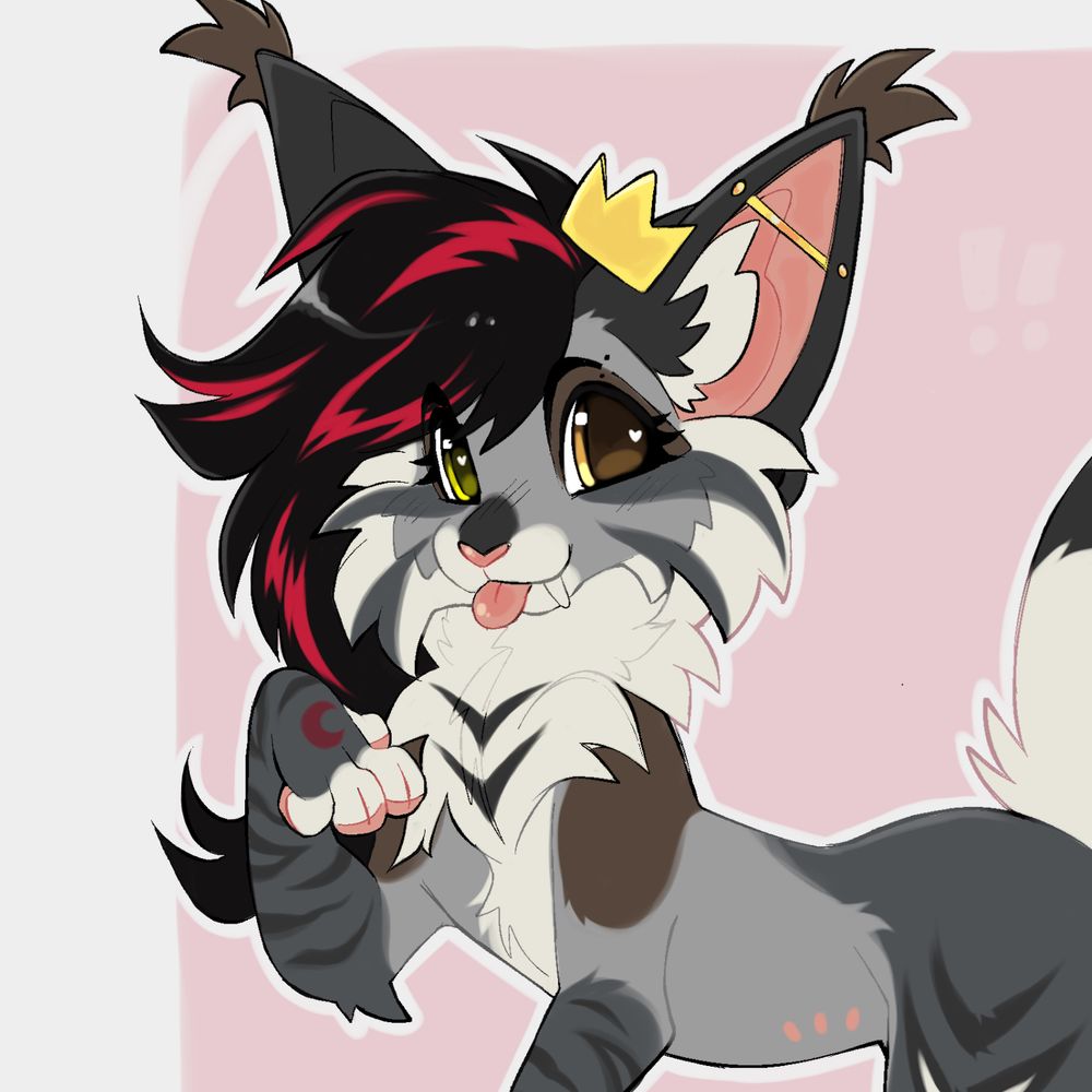 Kibbie 🔜 Denfur