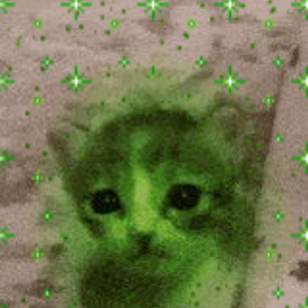 lilzomme