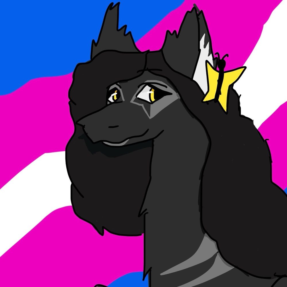 Cat Catcat🏳️‍⚧️