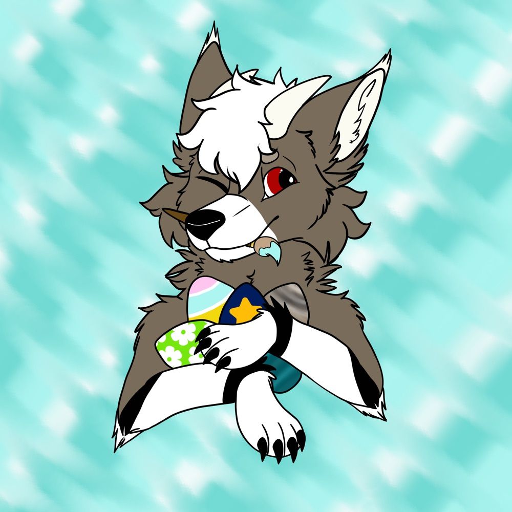 DrachenOkami