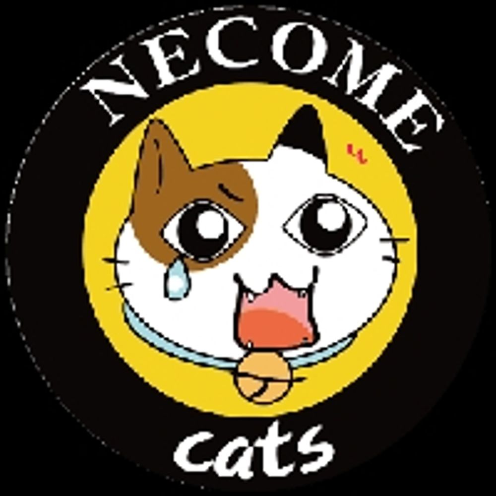 猫目