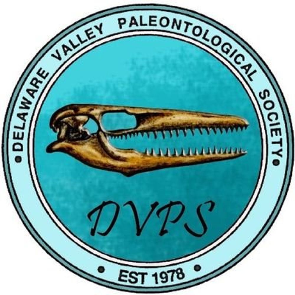 The Mosasaur