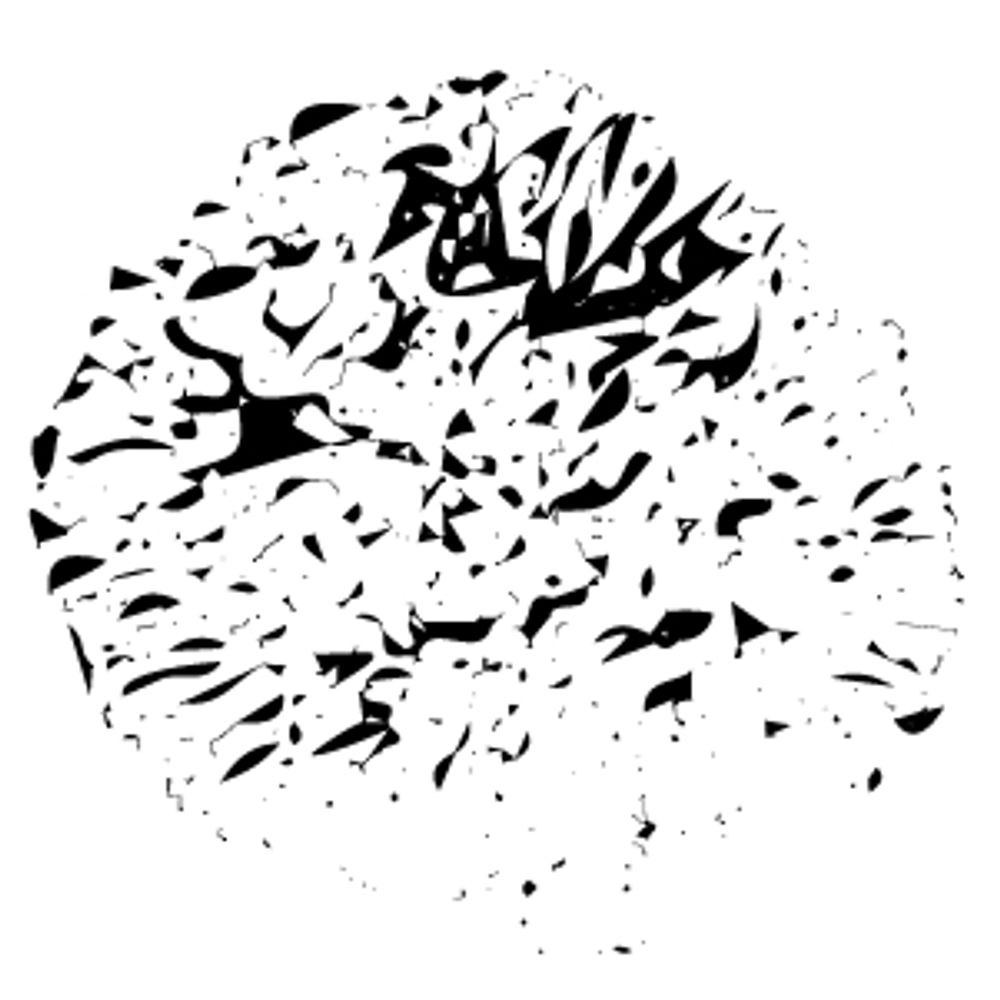 Lichen Community Systems
