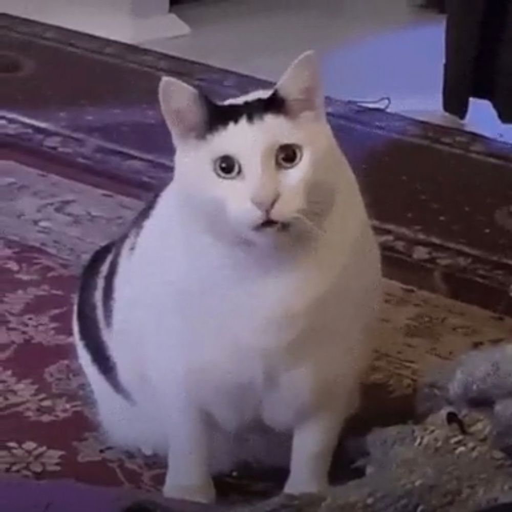 あるかん