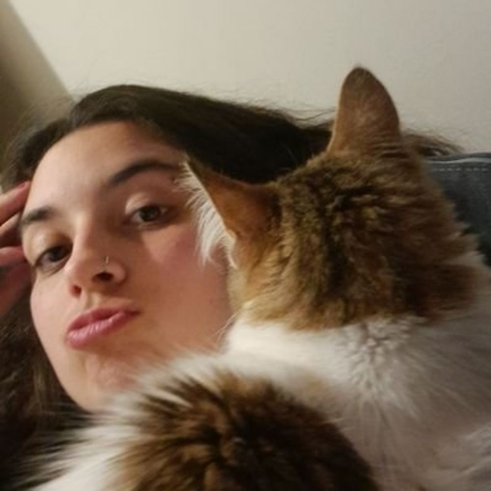 Fat Cat Isabel Duarte