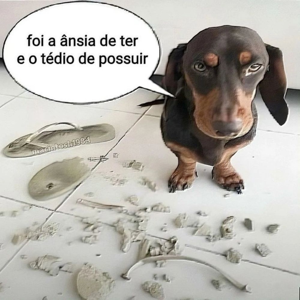 como coco