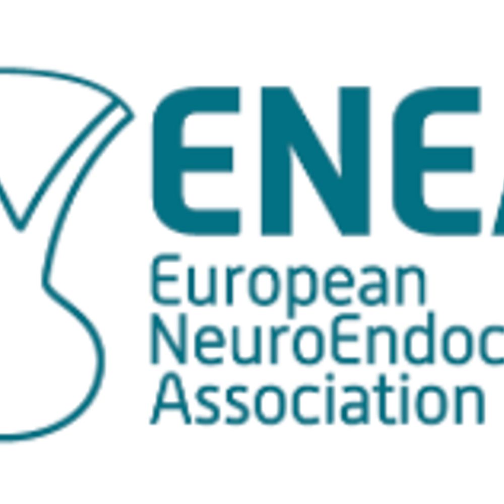 ENEA Young Researchers Committee (EYRC)