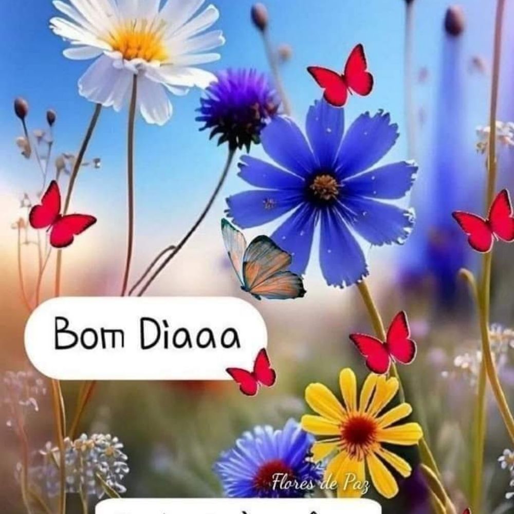 limoeiro 😜