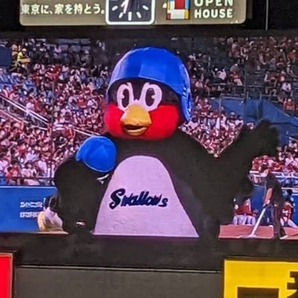 swa狸