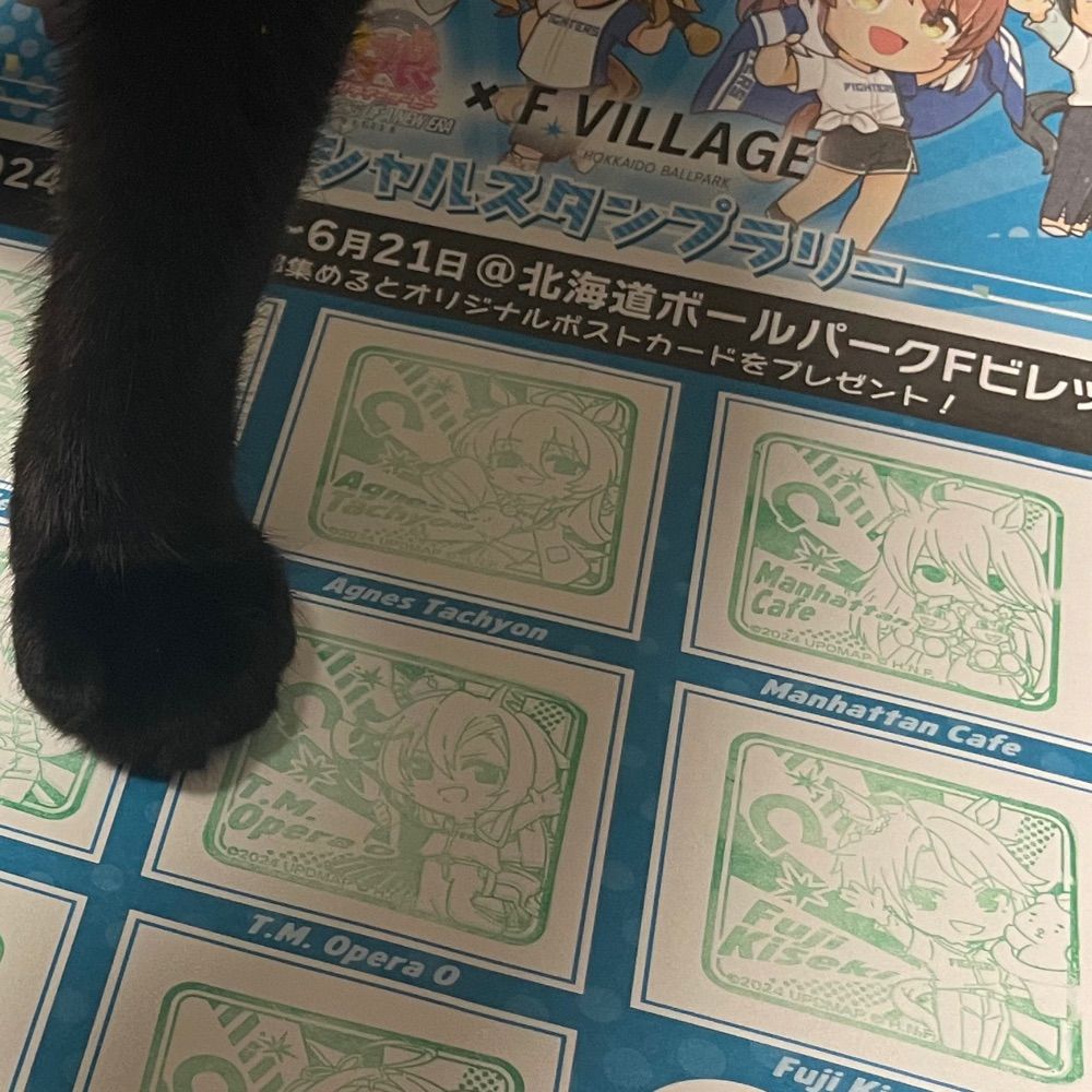 黒はんぺん