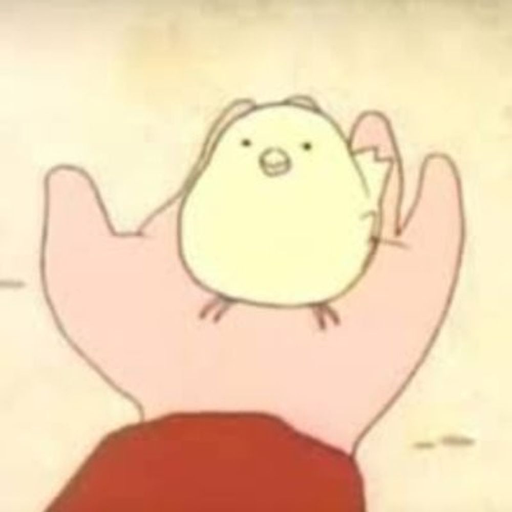 짱