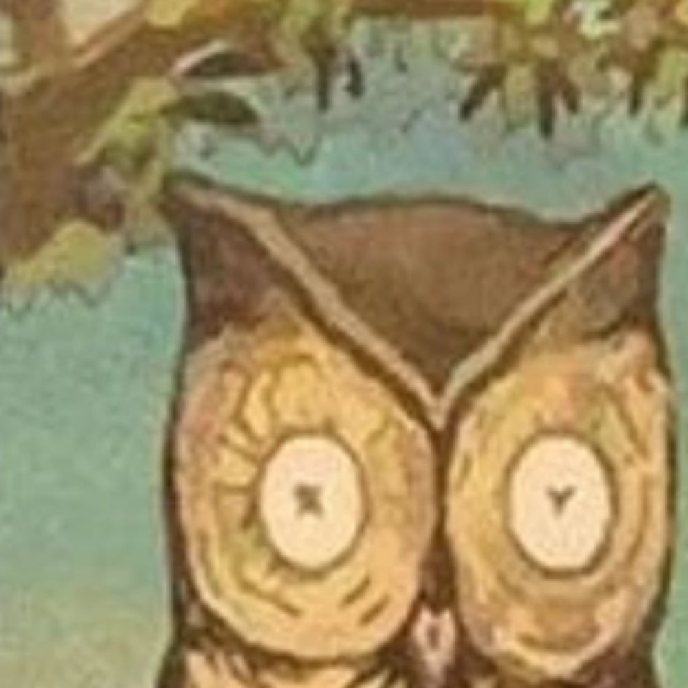 Night Owling
