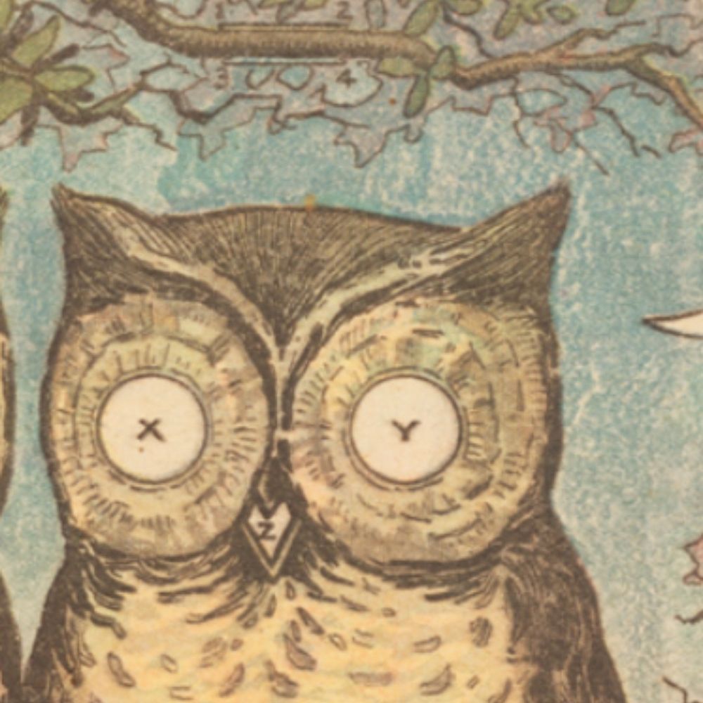 Night Owling's avatar