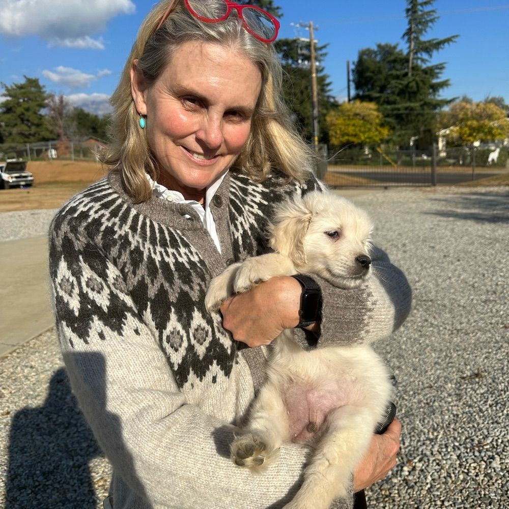 Karlene Goller