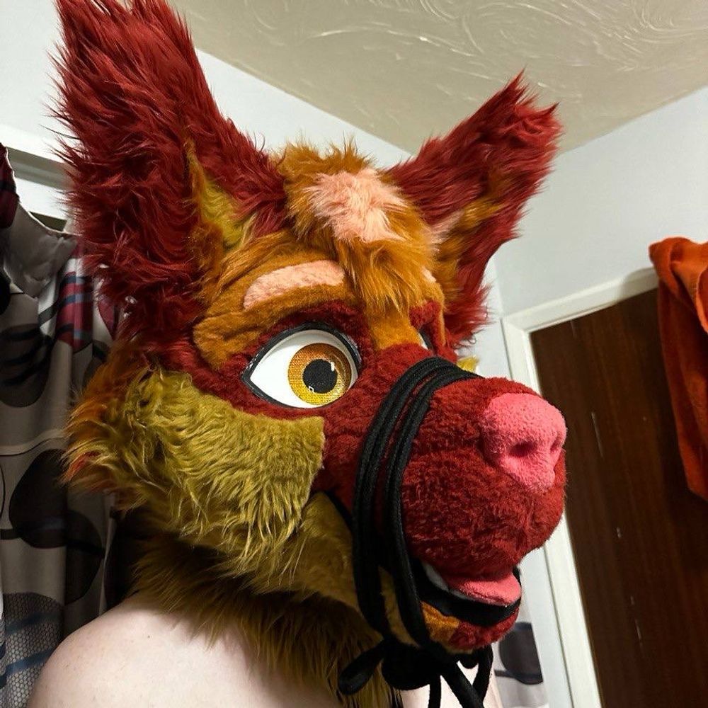 Floki-AutumnFoxAD