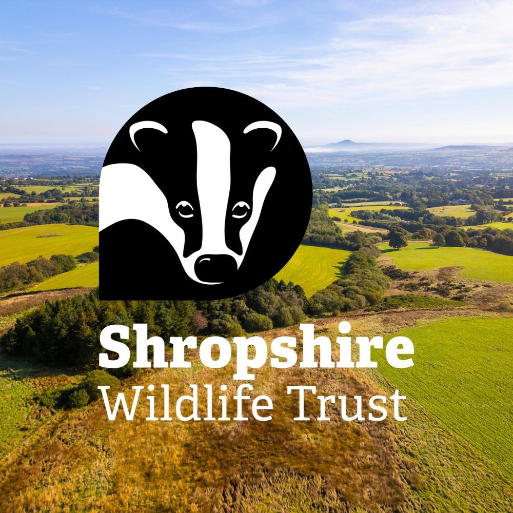 Shropshire Wildlife Trust
