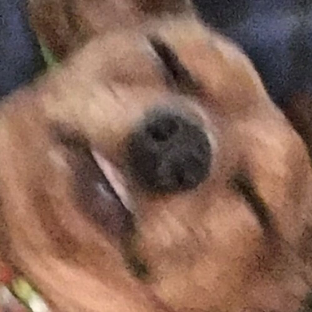 ThePeanutJammy
