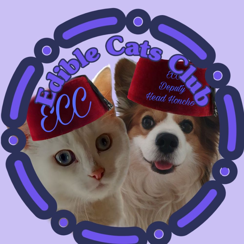 Ollie the Pappy & Cleo Kitty's avatar