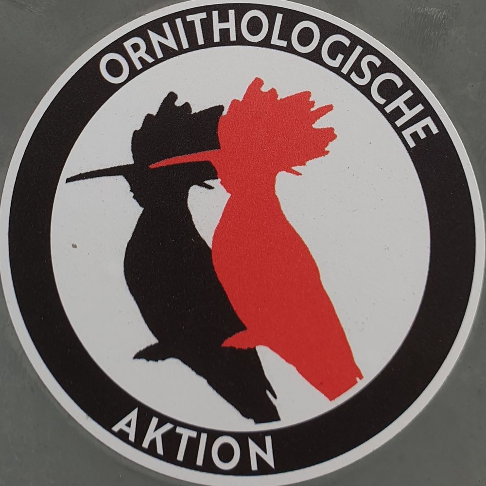 Orni 🏴's avatar