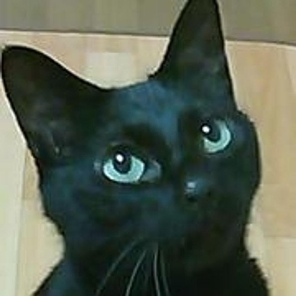 たかたか
