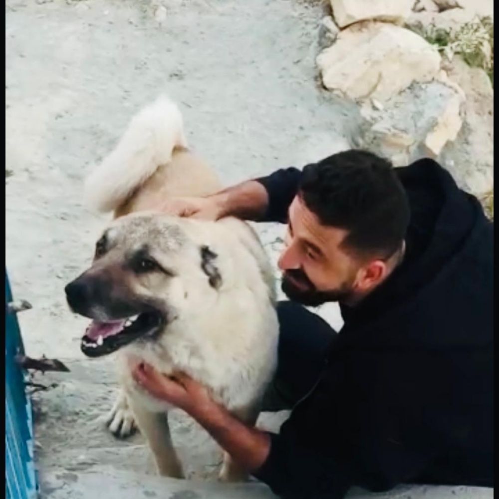 SotoKangal