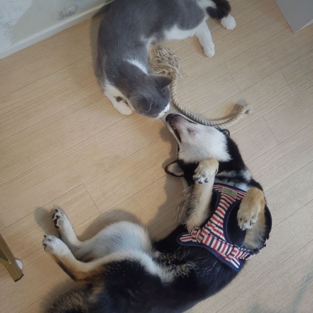 いぎたりあん