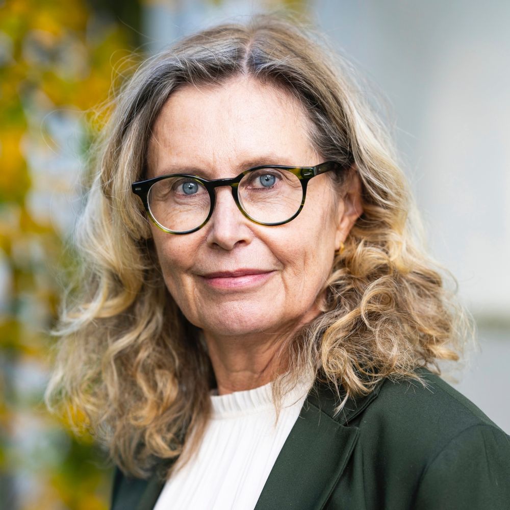 Karin Aggestam