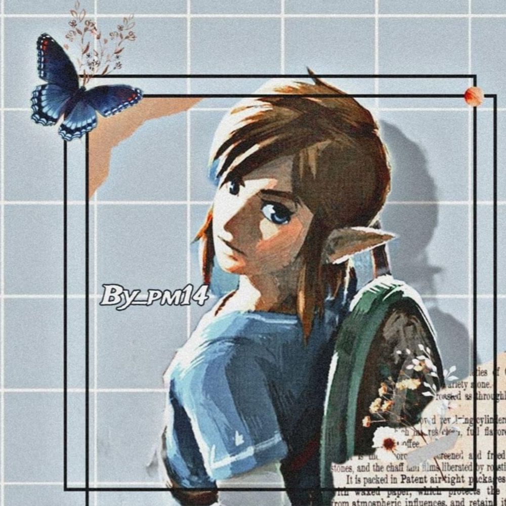 Gon_PM14