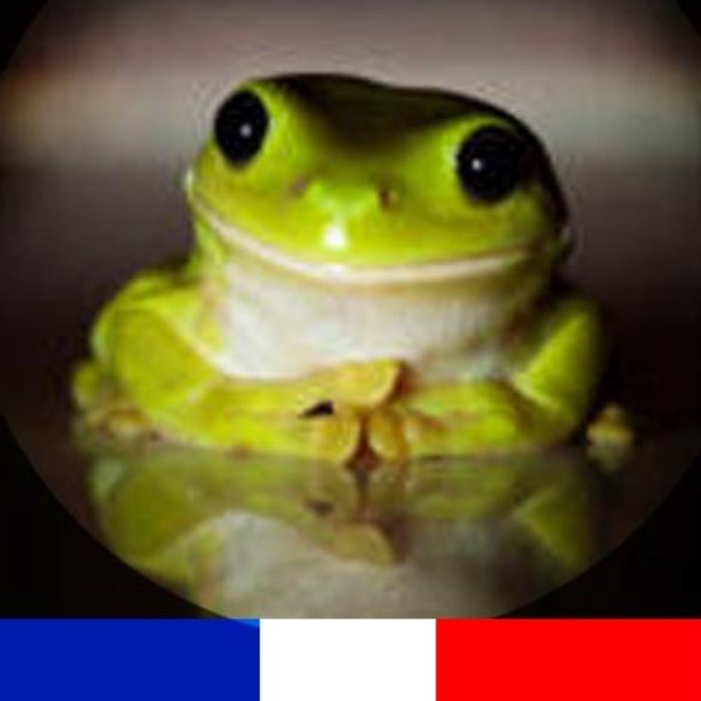 @frogspix.bsky.social