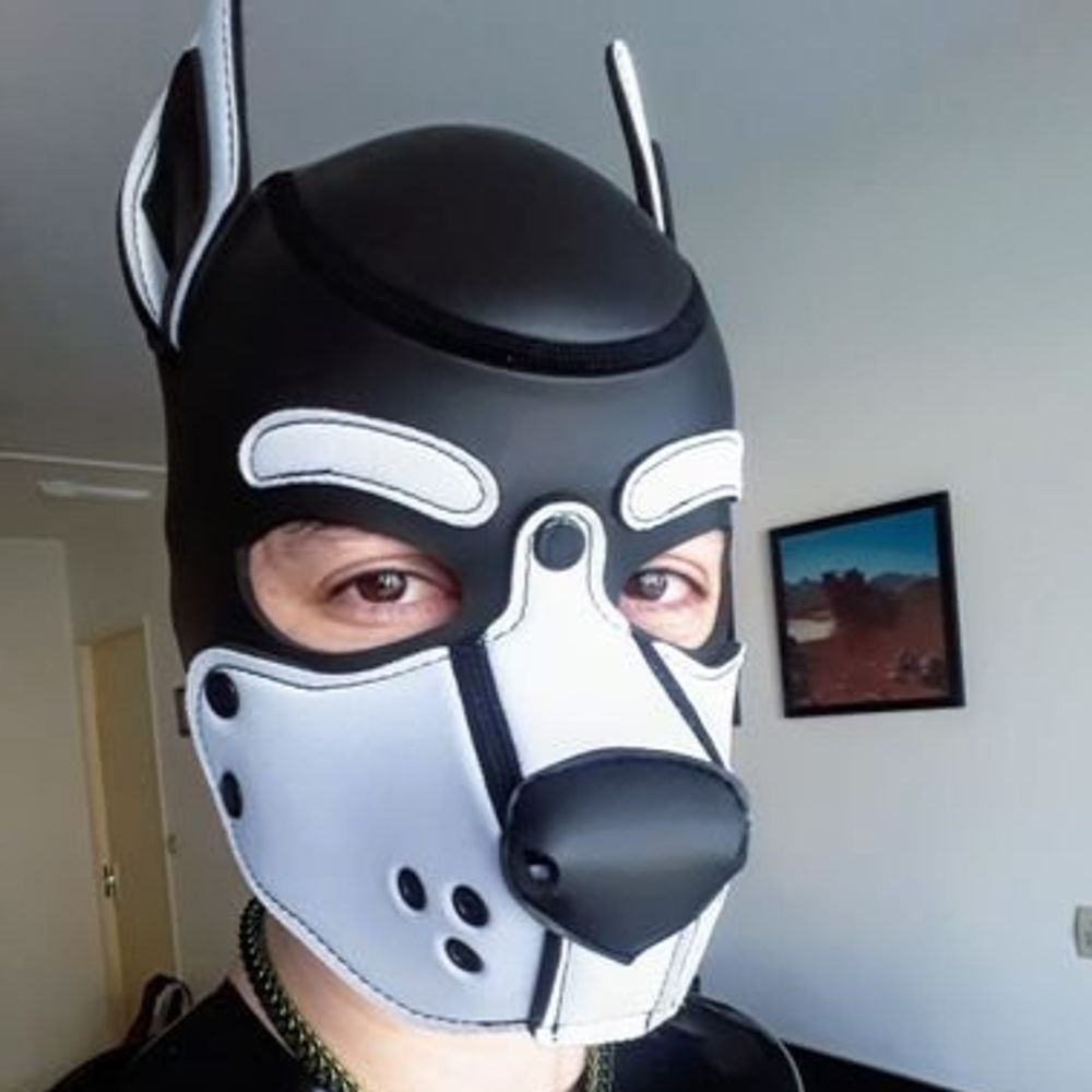 Pup Ginko