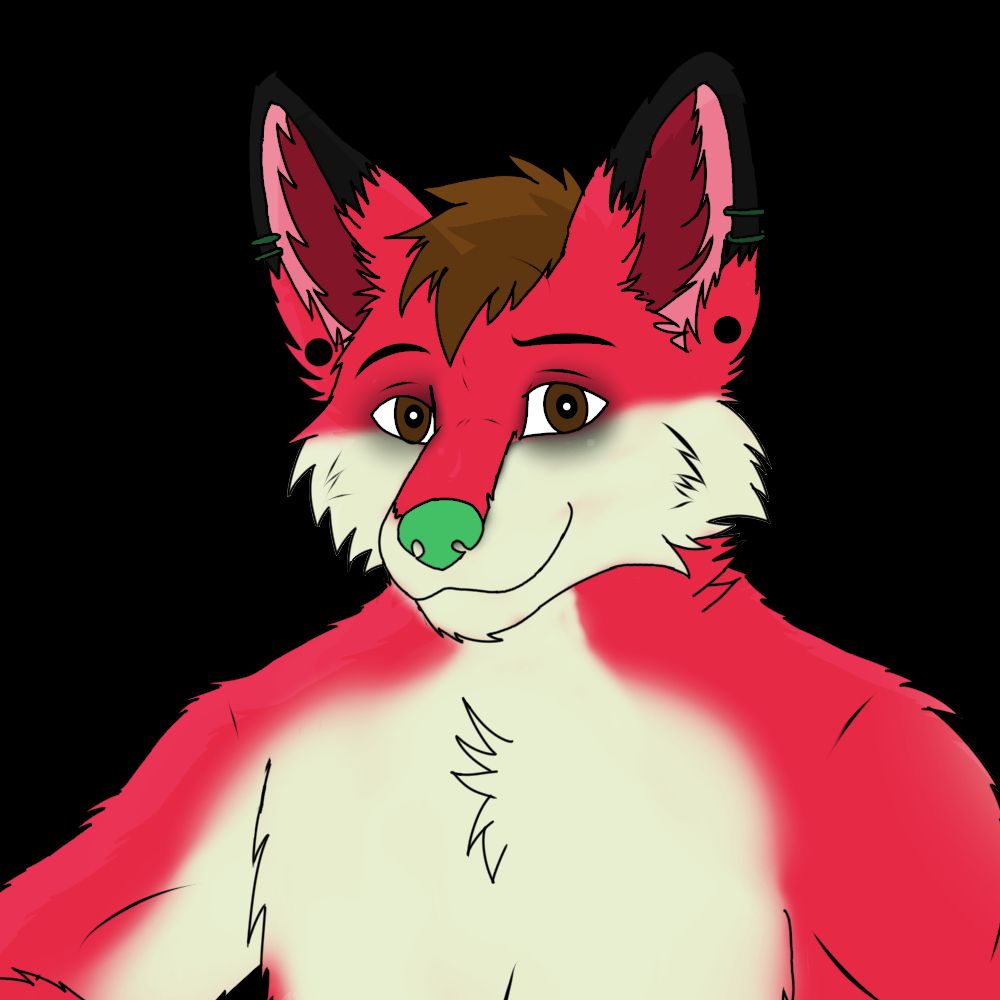 ShreddyPaws