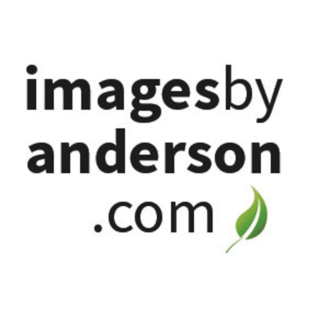 Images by Anderson