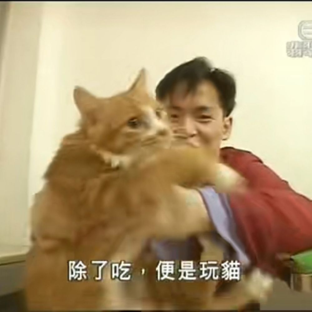 母羊