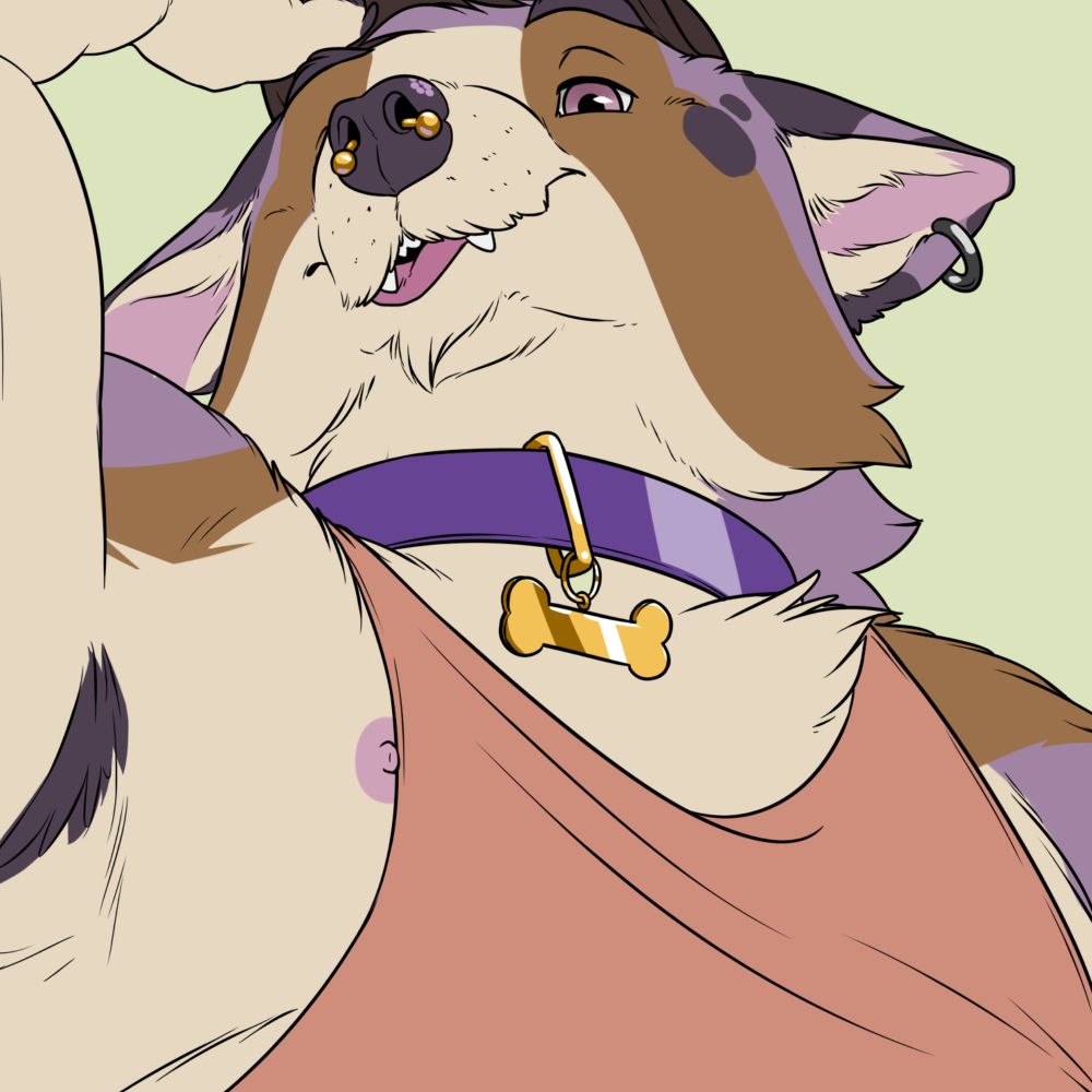 Incorgnito