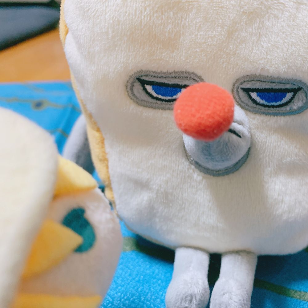 毛野