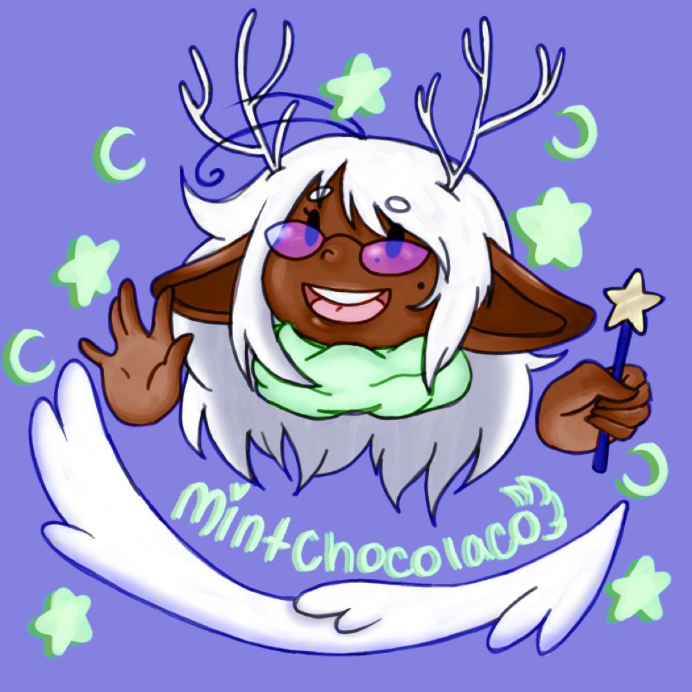 ☆MintChocolaco☆