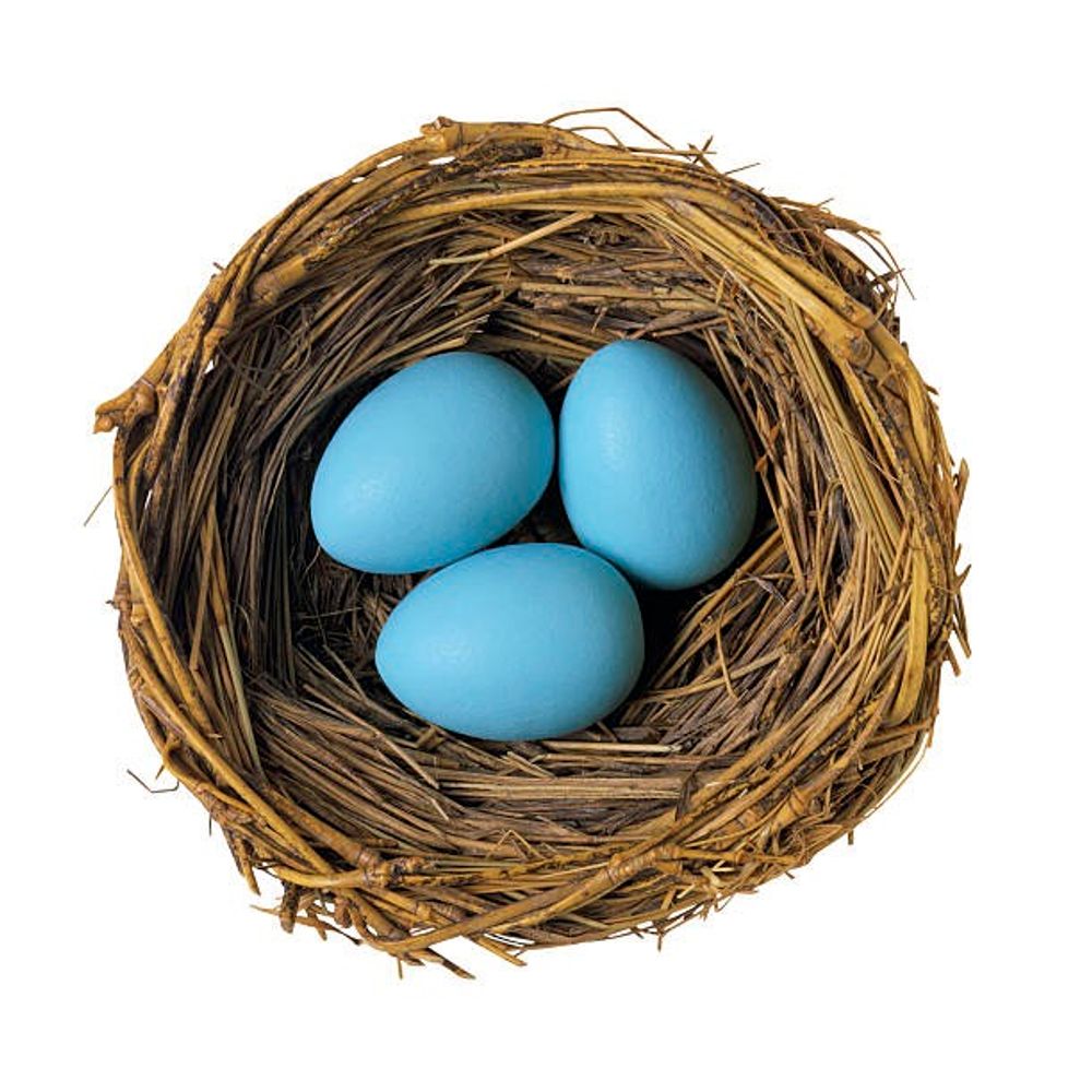 Wealth Strategies Journal