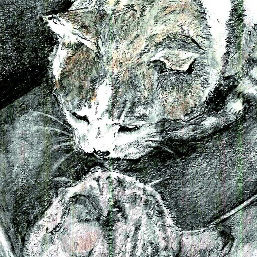 Tani