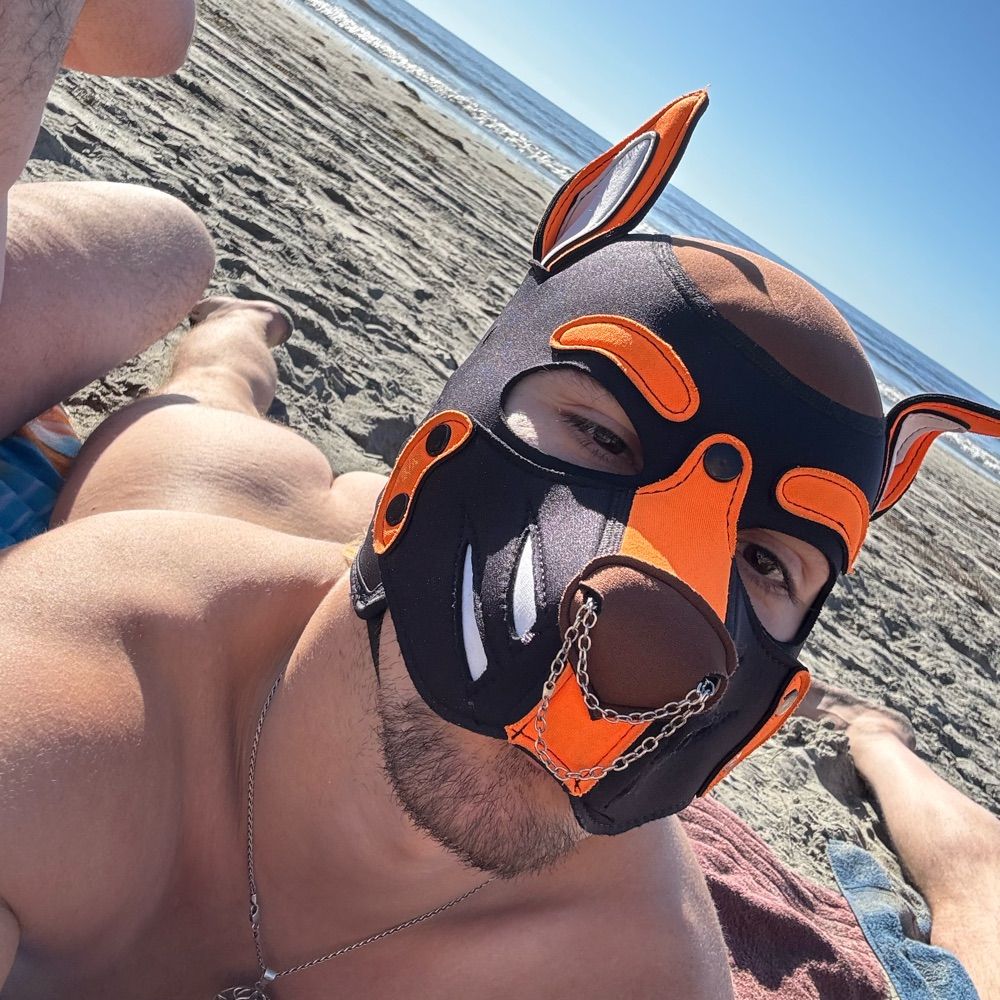 Profile picture pup-cuddles.bsky.social