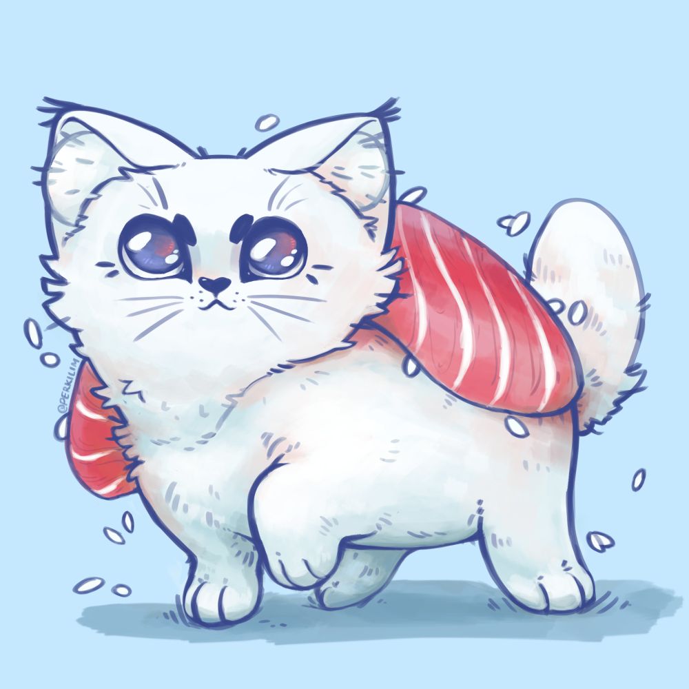 Sushi kitty