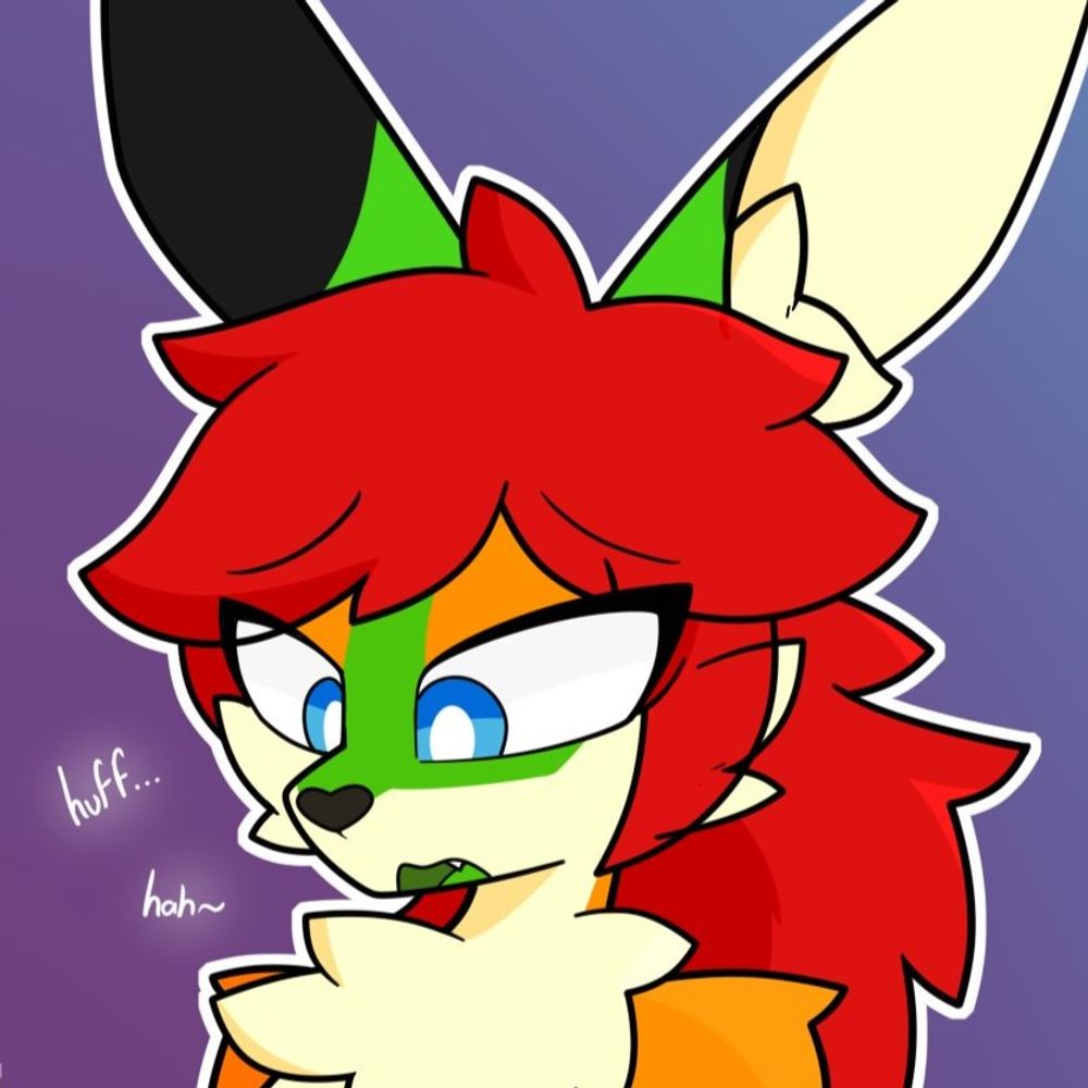 Zrucie Bnnuy Buns