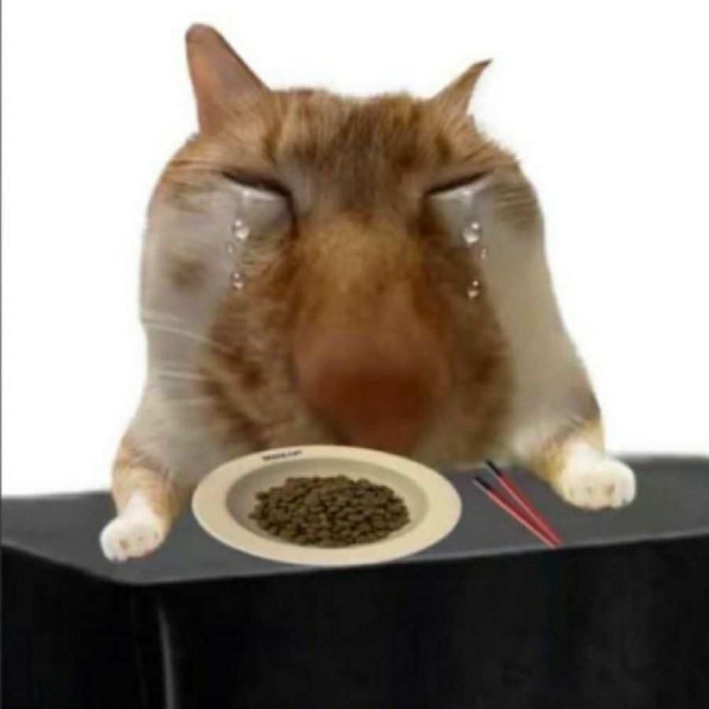 뎨학생