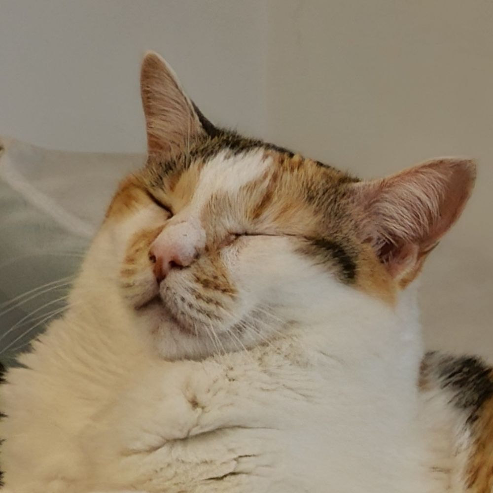Clara